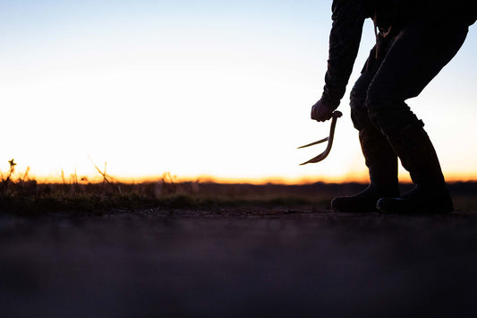 Shed Hunting: A Bone to Pick-up